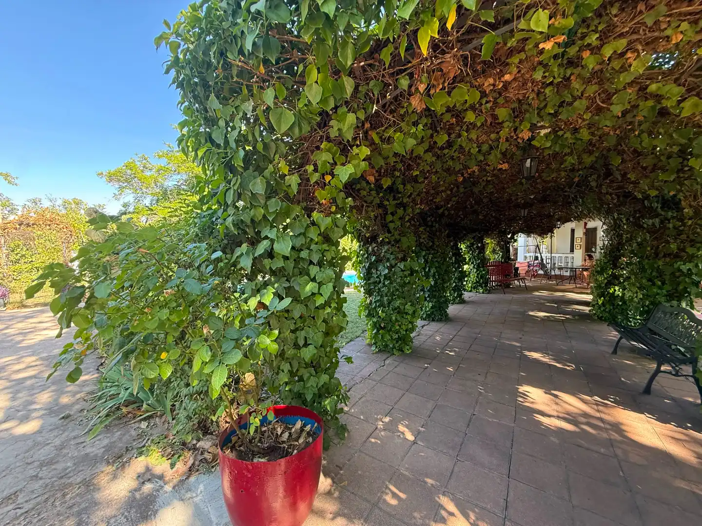 Terraza de Casa o chalet en venta en Argamasilla de Alba con Jardín privado, Terraza y Piscina