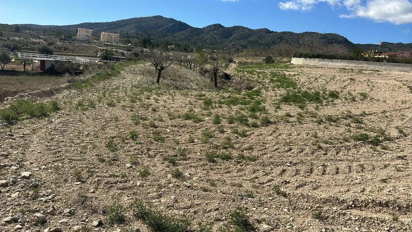 Terreno rustico in vendita a Las Trescientas - San Francisco - Ciudad Vergel, imagen 7