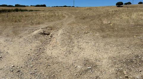 Foto 3 de Finca rústica en venda a San Andrés de Colmenar Viejo, Colmenar Viejo