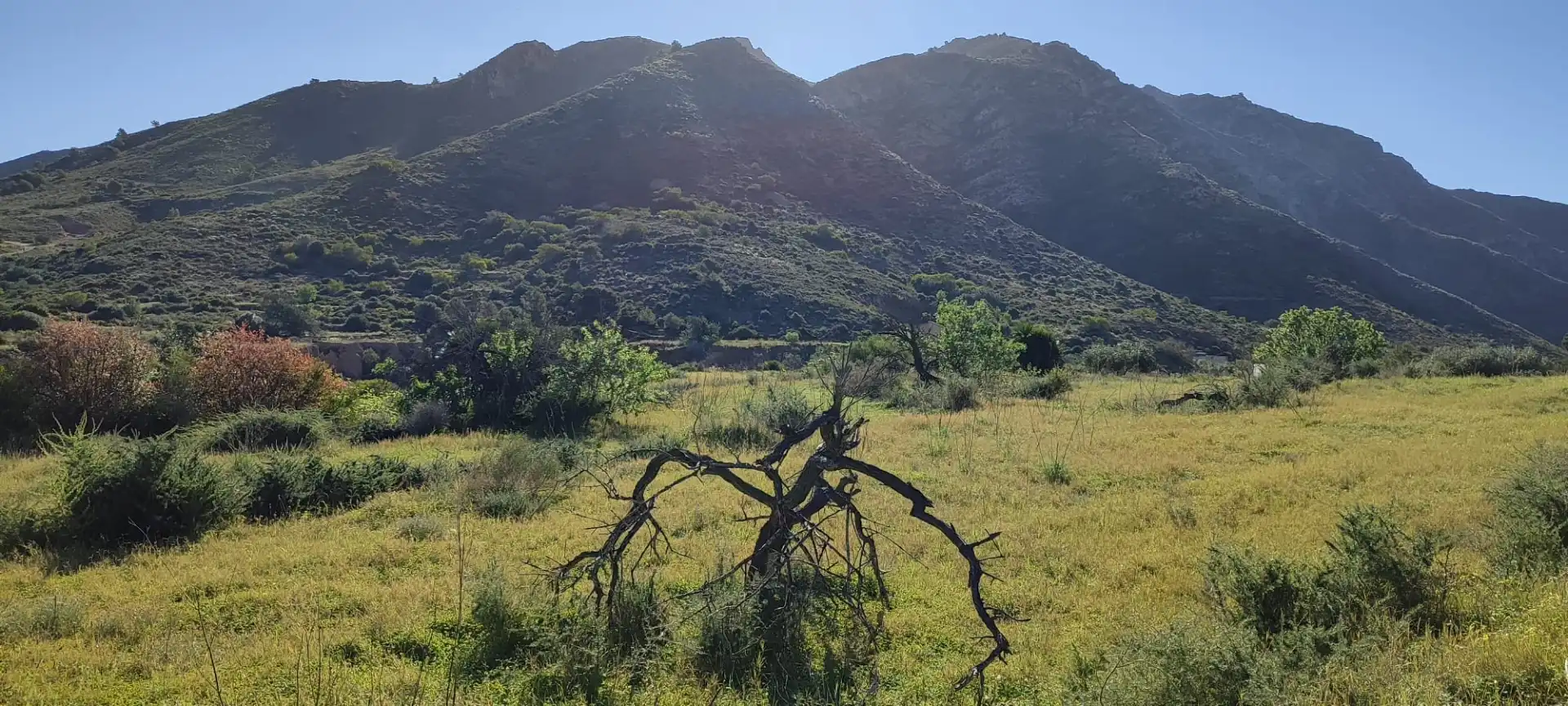 Land for sale in Cartagena