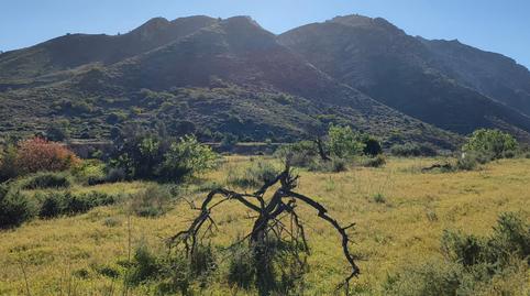 Photo 2 of Land for sale in Poblado Galifa, 38, Perín, Cartagena