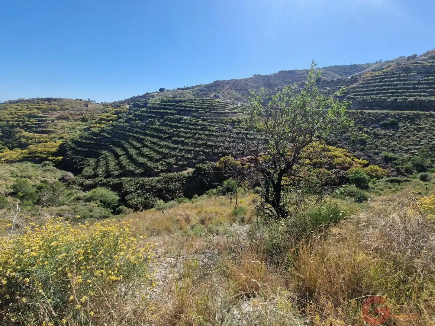 Terrenys i solars en venda a Monte los Almendros - El Pargo - Costa Aguilera, imagen 7