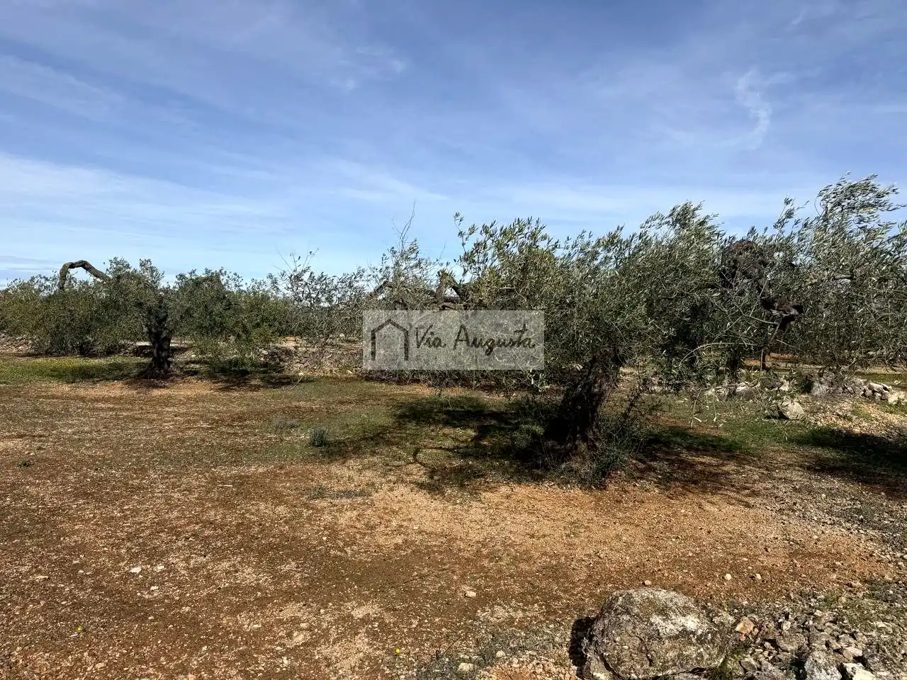 Terreno rustico in vendita a Burgà, imagen 7