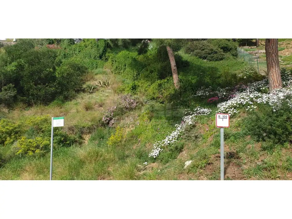 Terreny residencial en venda a Sa Riera - Sa Fontansa, imagen 2