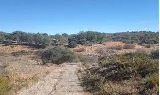 Finca rústica en venta en Jérica