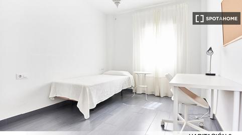 Photo 5 of Room in Bami - La Estrella, Sevilla Capital