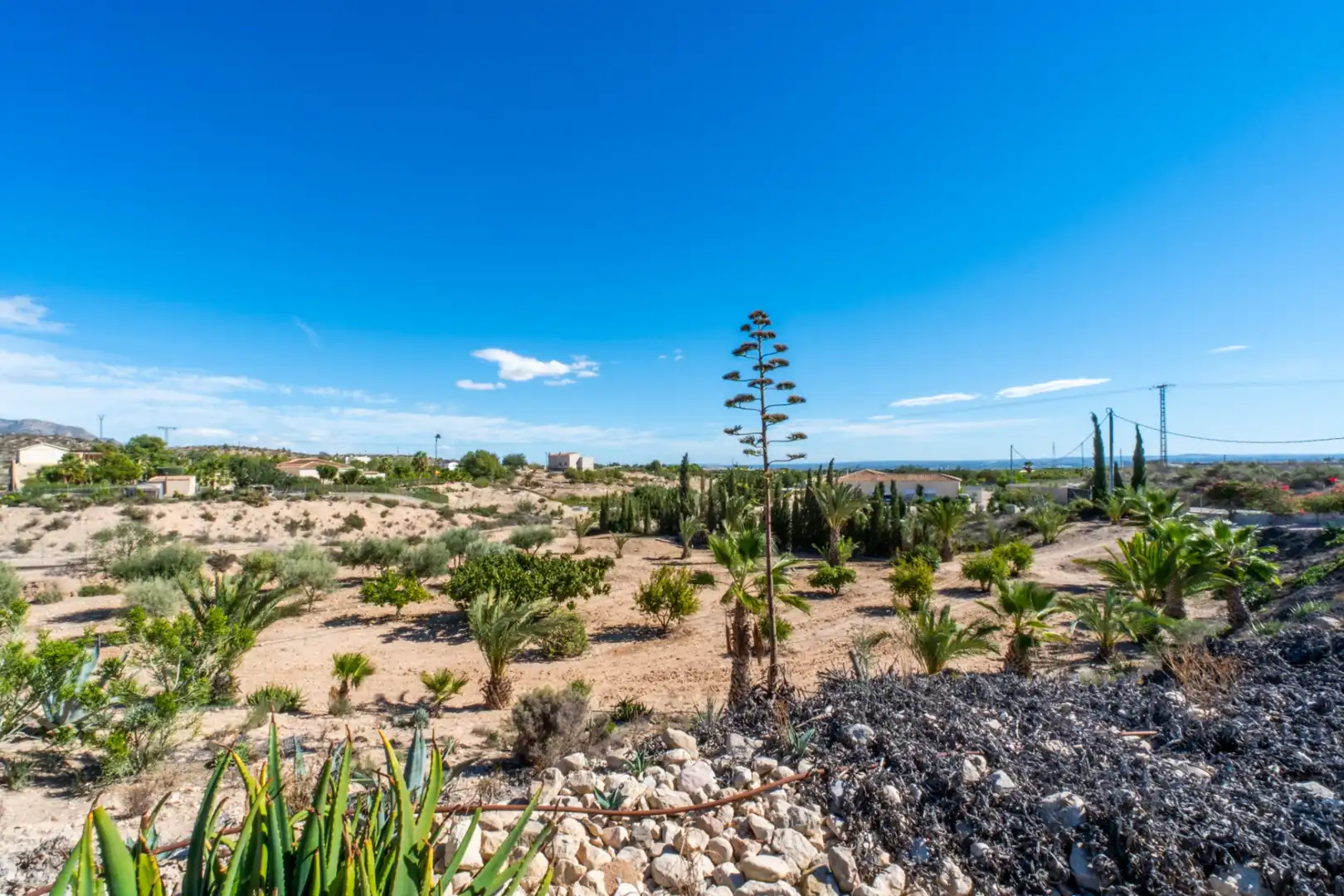 Casa o xalet en venda en Albatera amb Aire condicionat, Calefacció i Jardí privat