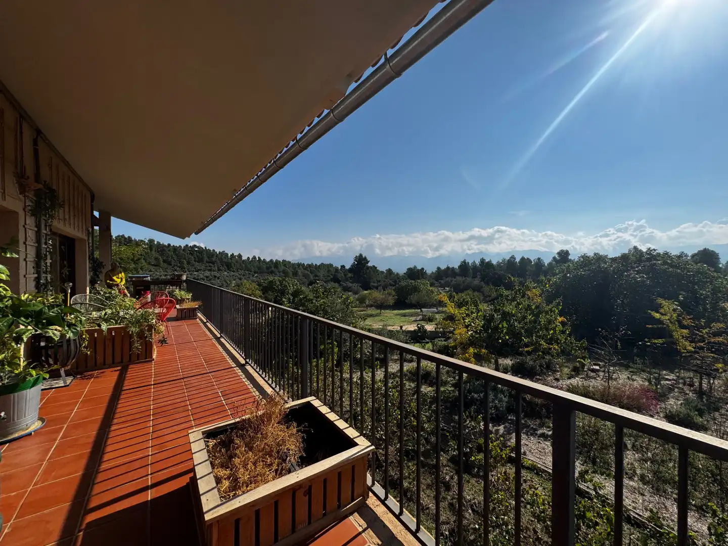 Jardín de Finca rústica en venta en Lledó con Aire acondicionado, Terraza y Piscina