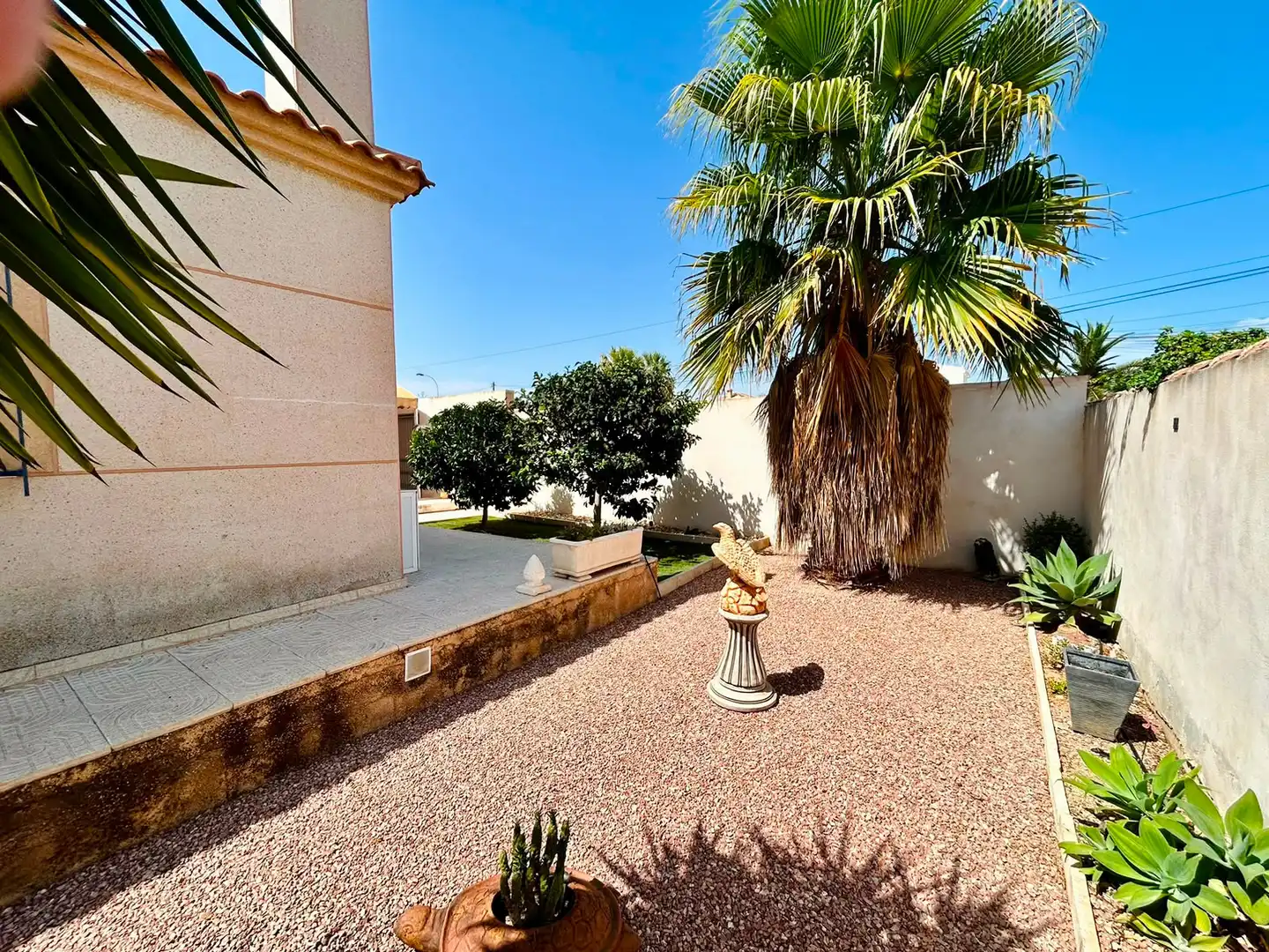 Jardí de Casa o xalet en venda en Torrevieja