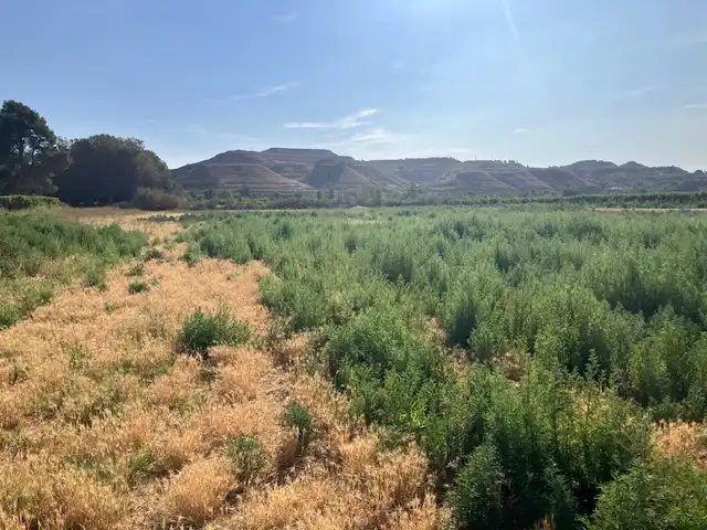 Terreni e lotti in vendita a Fraga, imagen 5