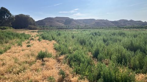 FINCA RÚSTICA, immagine 5