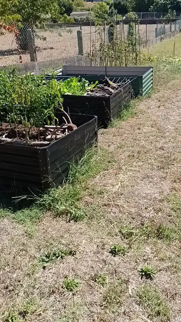 Jardí de Finca rústica en venda en Vilagarcía de Arousa