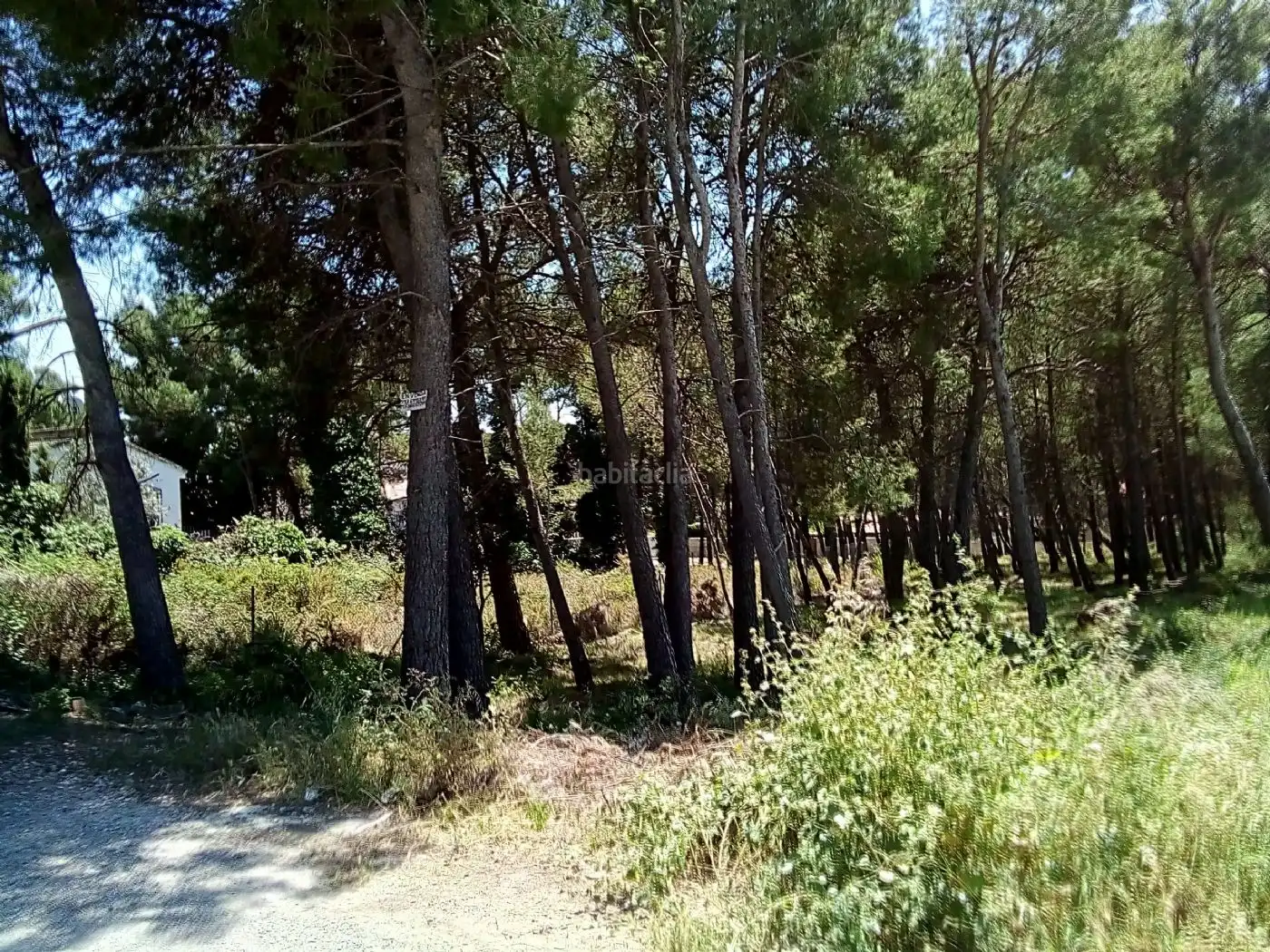 Terreny residencial en venda a Carrer Sabadell 40, imagen 6