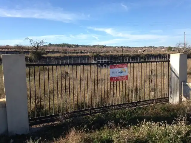 Terreno rustico in vendita a Hondón de los Frailes, imagen 9