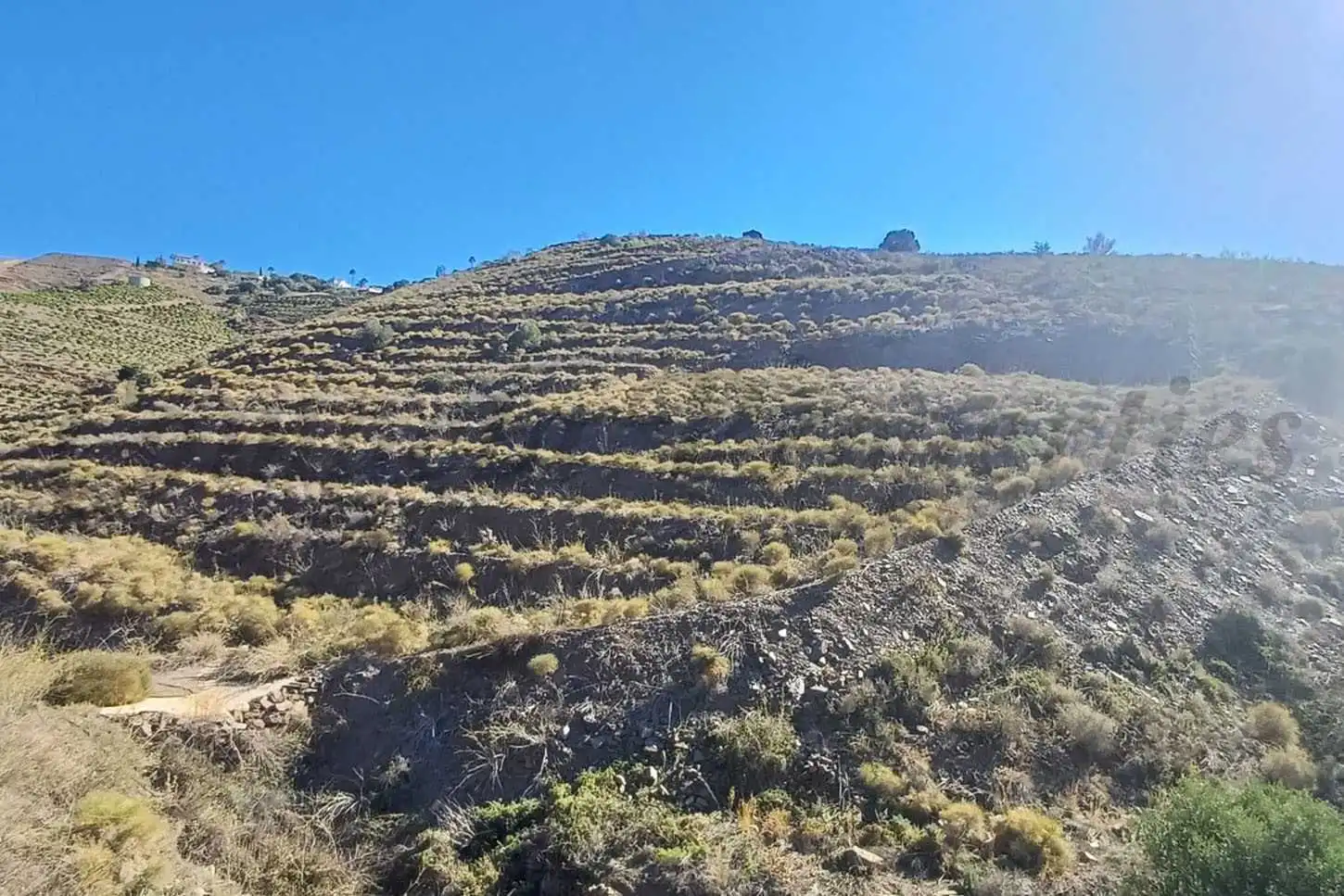 Terreno rustico in vendita a El Morche, imagen 5
