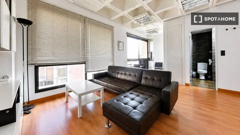 Sala de estar de Estudio para compartir en Sevilla con Aire acondicionado, Terraza y Amueblado