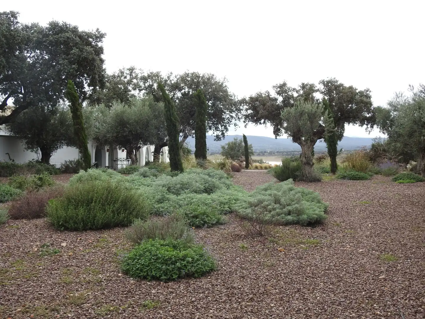 Terreni e lotti in vendita a Peraleda de la Mata, imagen 4