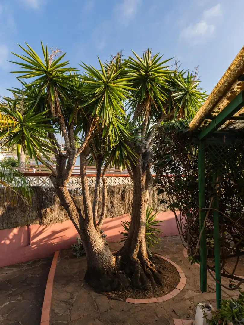 Casa amb piscina en venda a El Sauzal, imagen 22