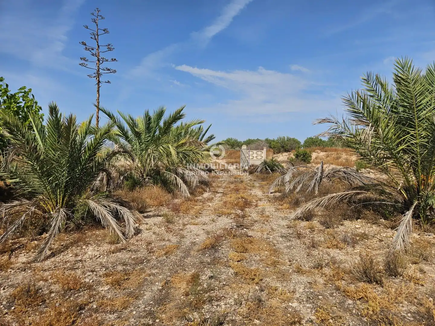 Casa o chalet en venta en Aspe