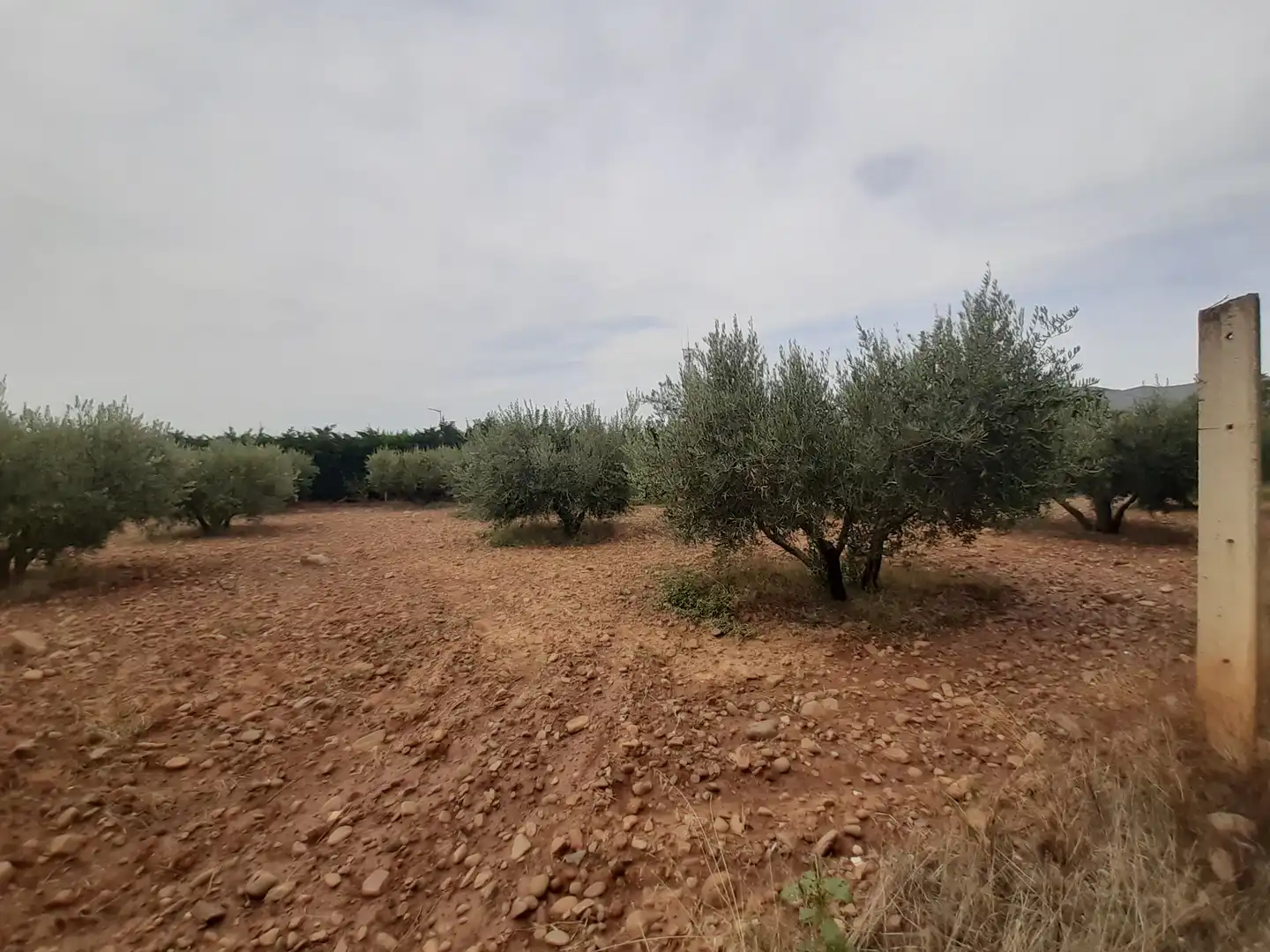 Terrenys i solars en venda a Arnedo, imagen 6