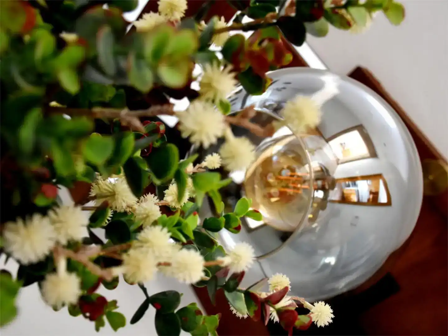 Garten von Wohnung zur Miete in Muxía mit Privatgarten, Parkett und Möbliert