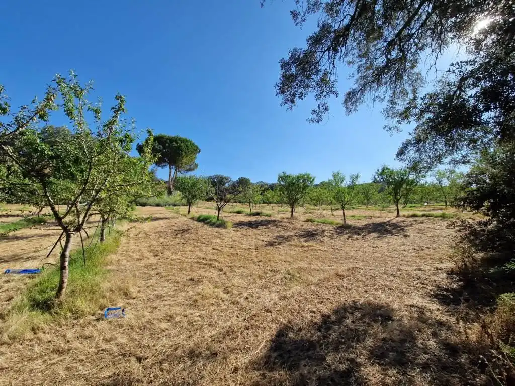 Terreno en venta en Binaced