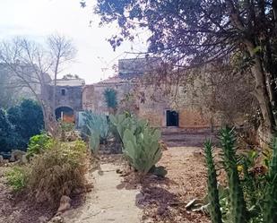 Garden of Single-family semi-detached for sale in Santa Eugènia  with Private garden
