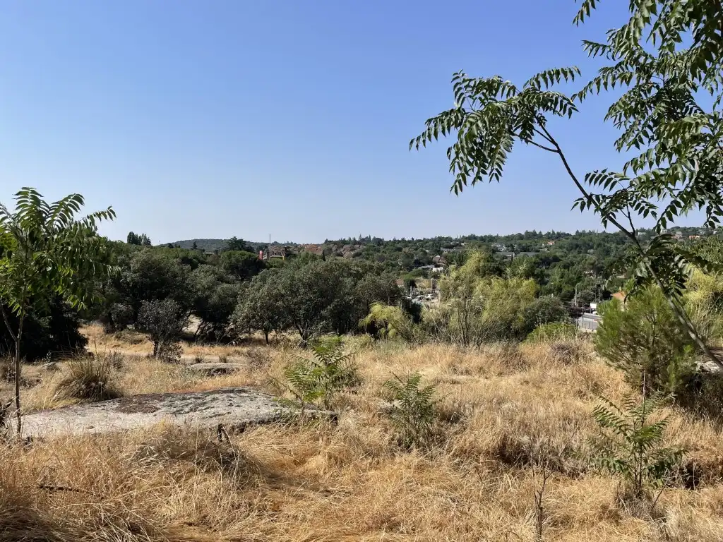 Detached homes for rent in Calle Brazos De Los, La Navata