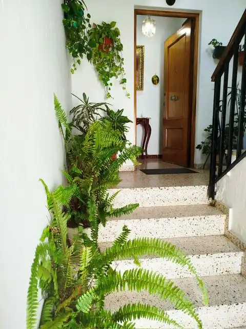 Appartement compact avec terrasse à vendre à Vejer, imagen 20