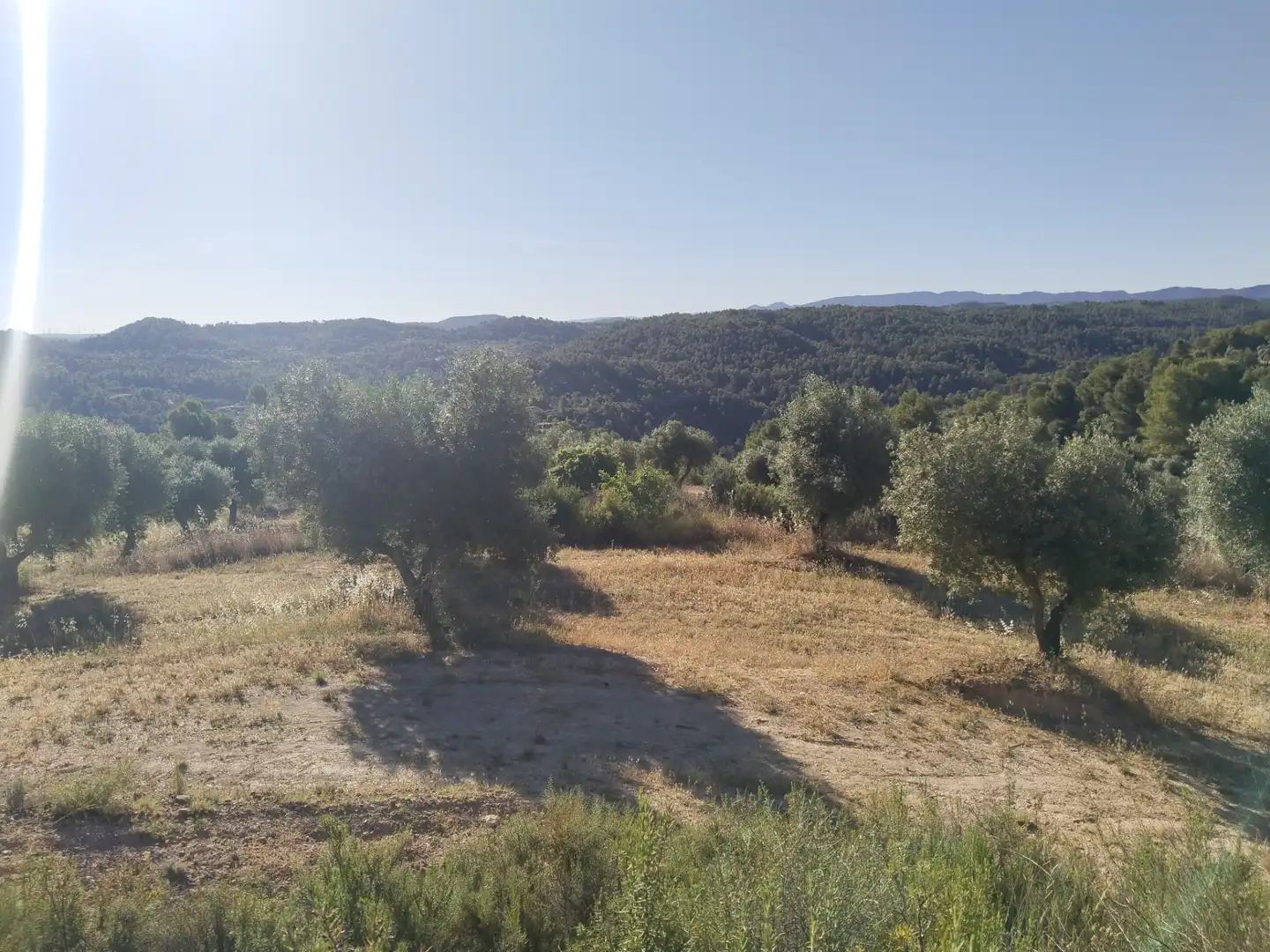Terreno rustico in vendita a La Pobla de Cérvoles, imagen 8
