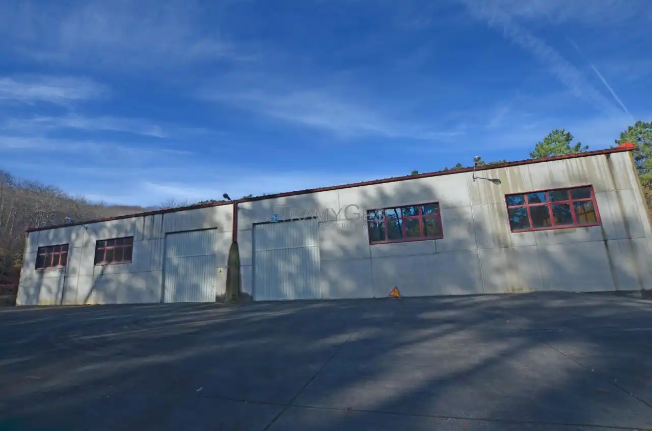 Nave industrial en alquiler en ESTRADA DE GENEROSO DOMINGUEZ, imagen 6