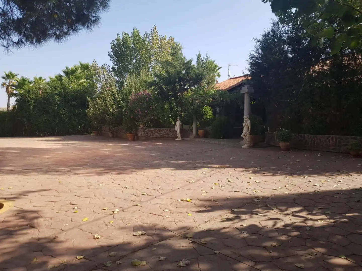 Casa rústica en venda a Torrenueva, imagen 8