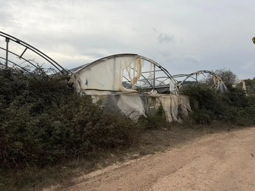 Casa rústica amb terrassa en venda a Altura, imagen 207