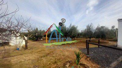 Finca rústica en Venta en Almonte ciudad