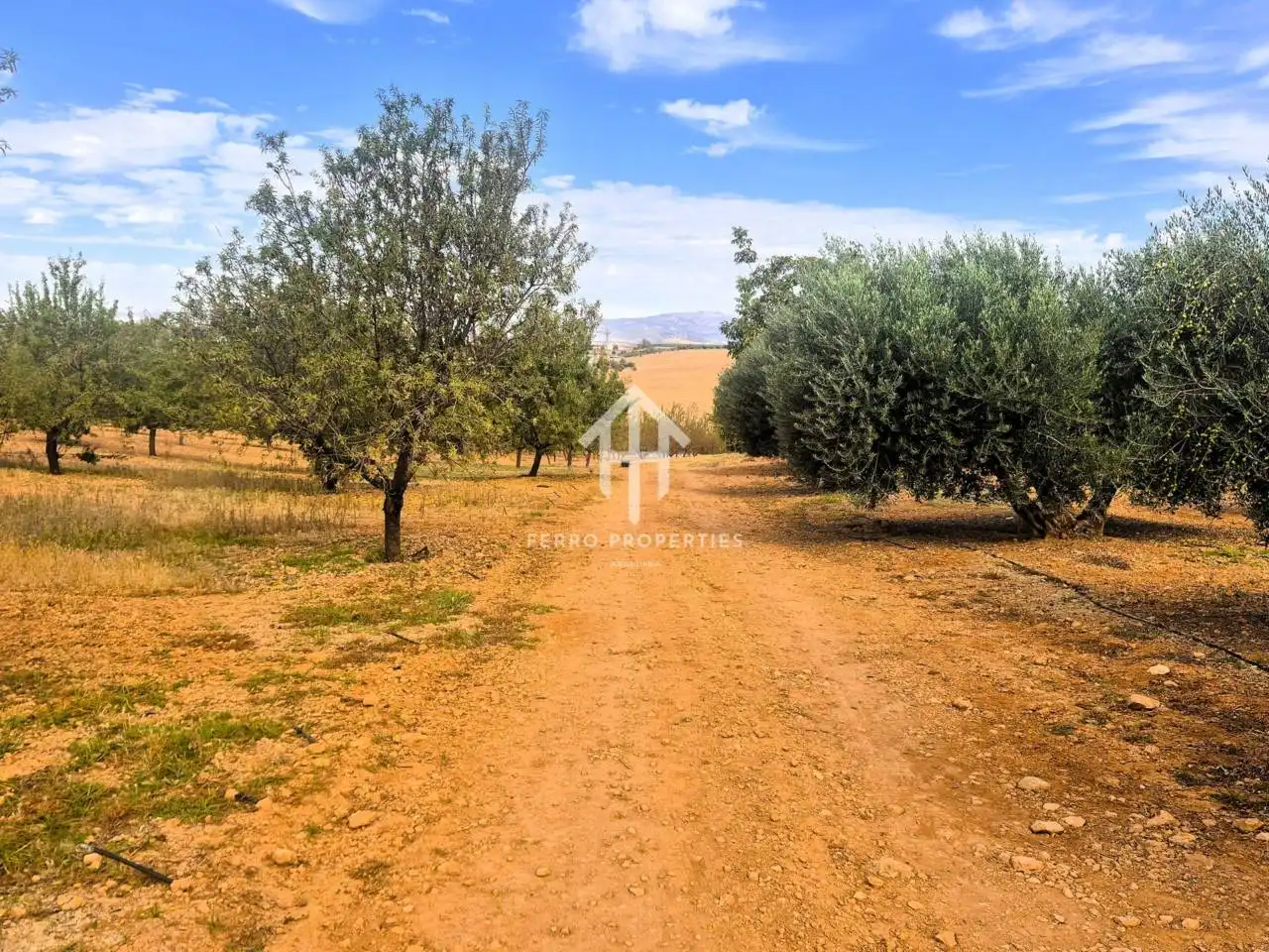 Rural land for sale in Moraleda de Zafayona, imagen 17