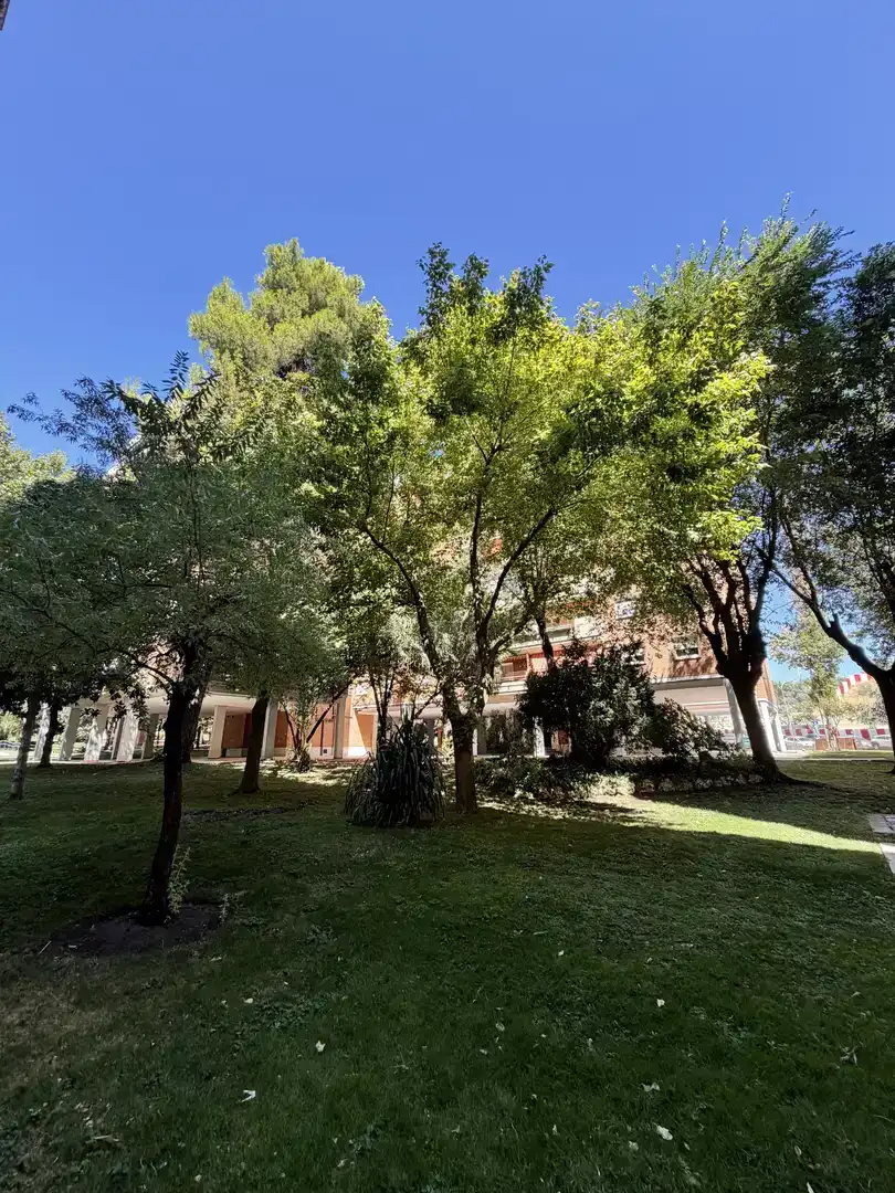 Vista exterior de Pis en venda en  Madrid Capital amb Aire condicionat i Piscina