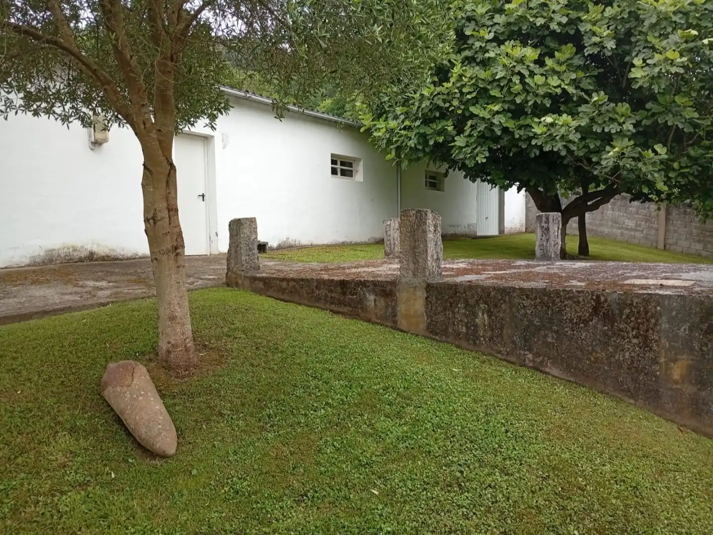 Garden of Commercial properties for sale in Salas