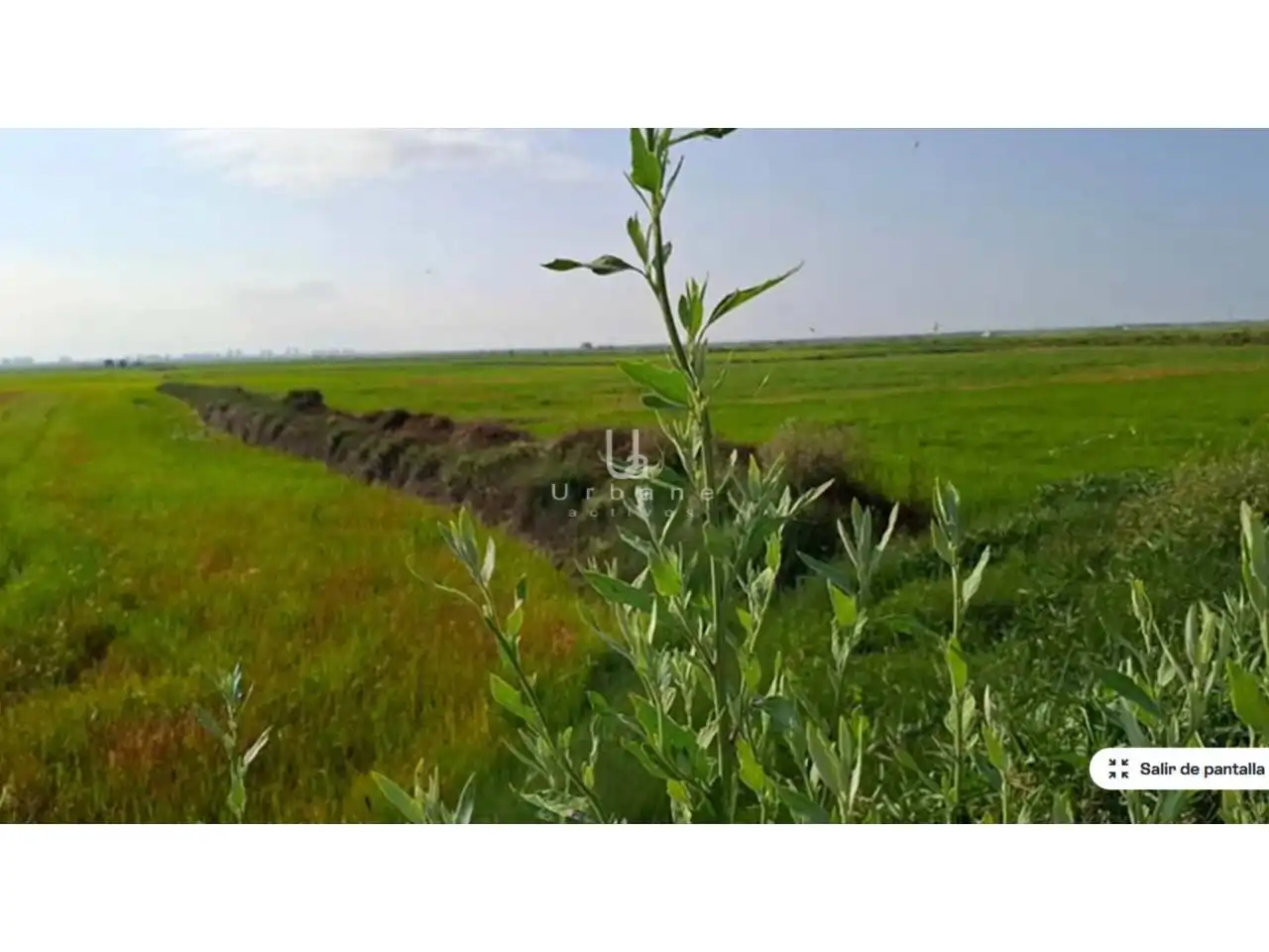 Rural land for sale in Camino Alter, imagen 4