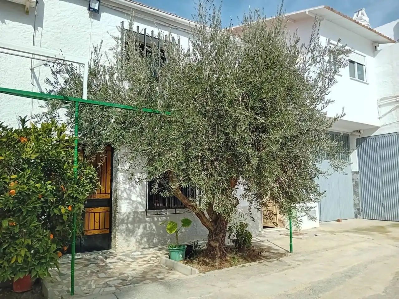 Vista exterior de Finca rústica en venda en Villanueva Mesía amb Jardí privat i Terrassa