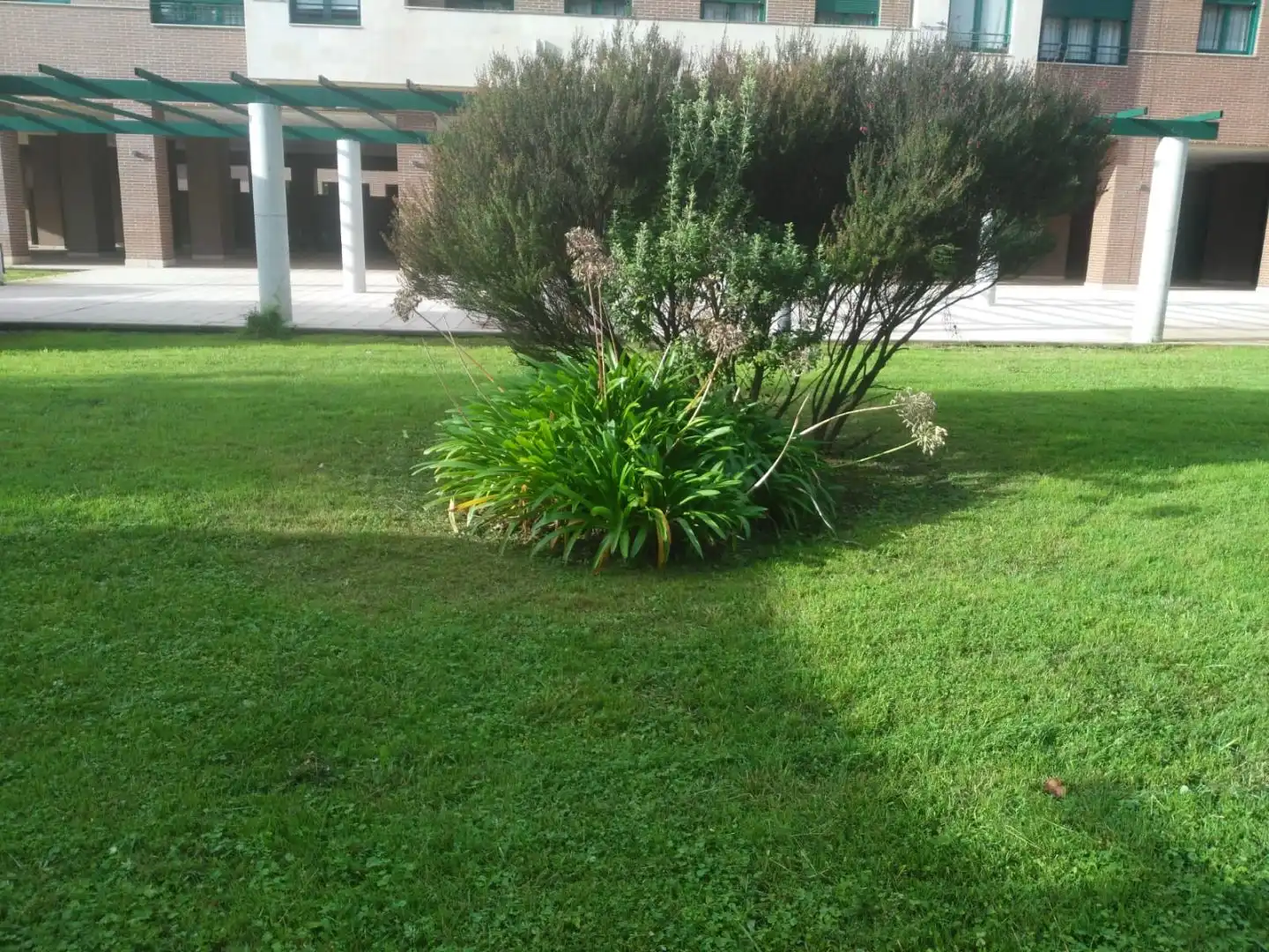 Piso con jardín en venta en Calle Concejo de Castrillón 2