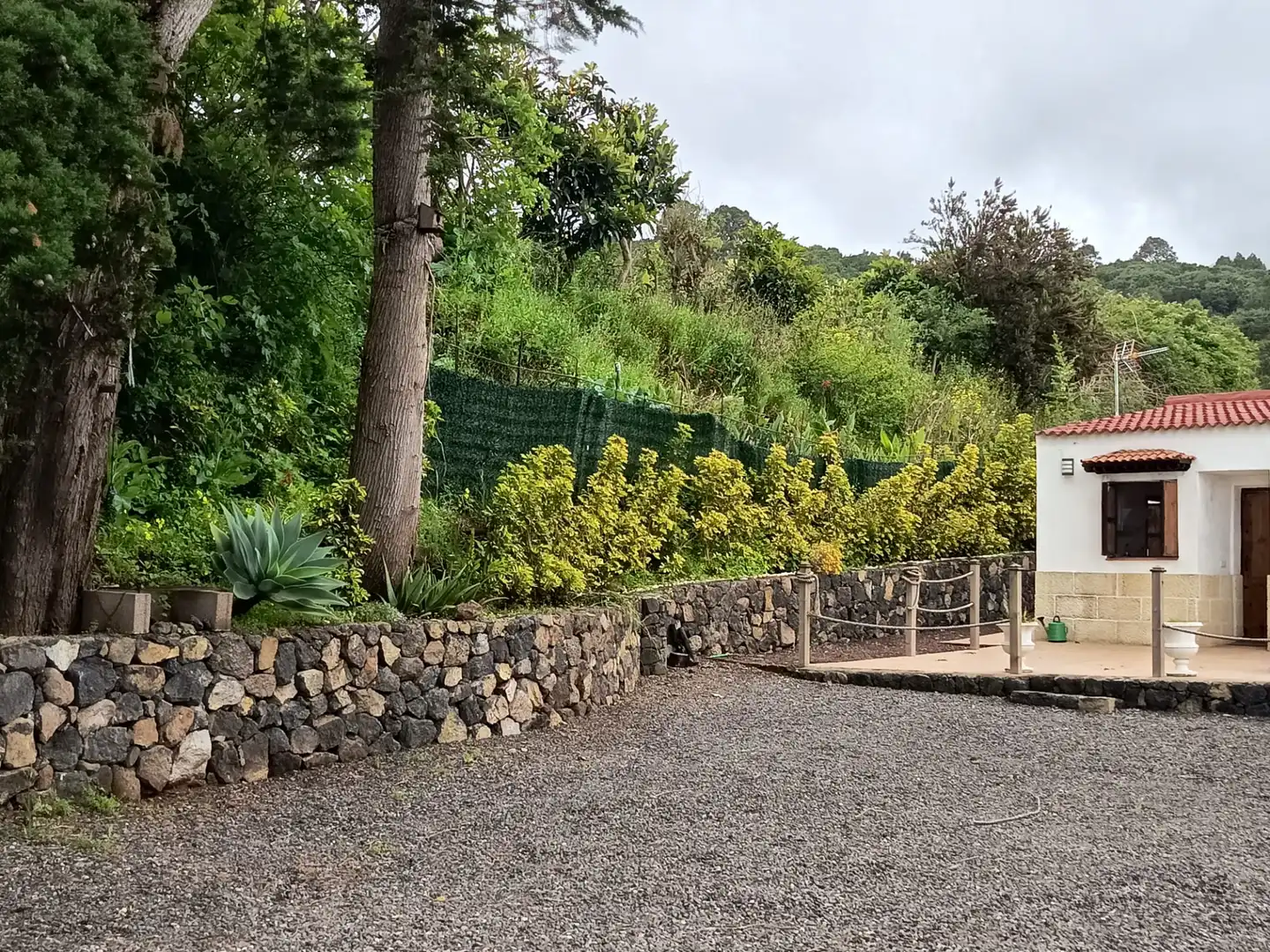 Garden of Land for sale in Icod de los Vinos
