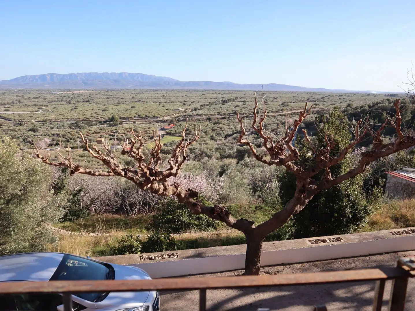 Jardí de Casa o xalet en venda en Mas de Barberans amb Aire condicionat, Calefacció i Terrassa
