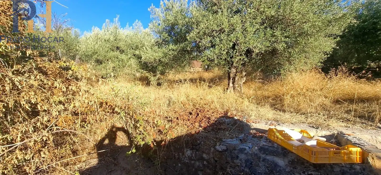 Maison à vendre à Arenas de San Pedro, imagen 17