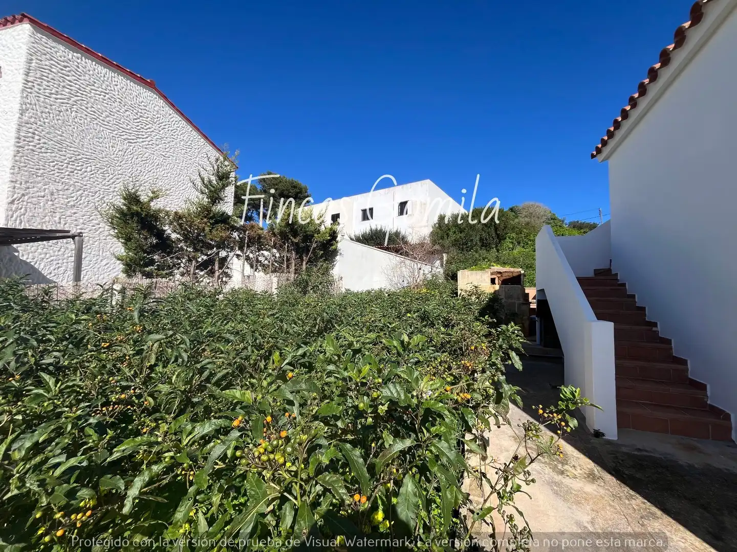 Jardín de Casa o chalet en venta en Alaior con Jardín privado