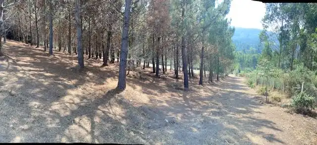 Casa o xalet en venda en Carballo amb Terrassa i Forn