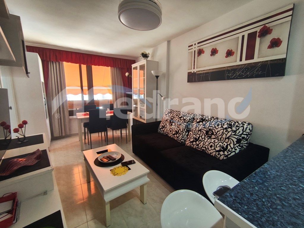 Sala d'estar de Estudi en venda en Benidorm amb Aire condicionat