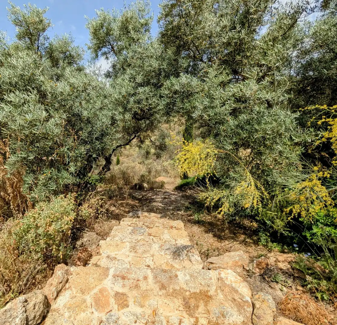 Casa o xalet en venda en Loja amb Calefacció, Jardí privat i Terrassa