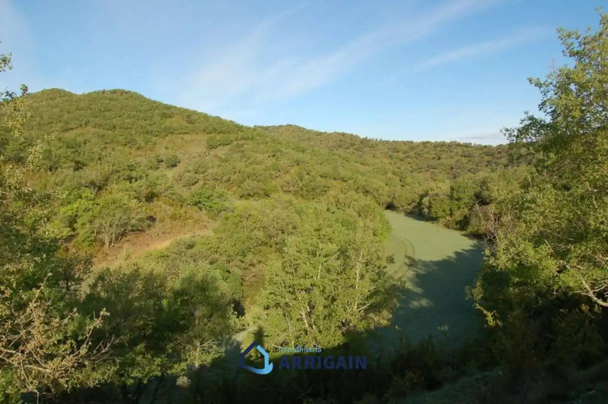 Casa o chalet en venta en La Moraleja con Jardín privado
