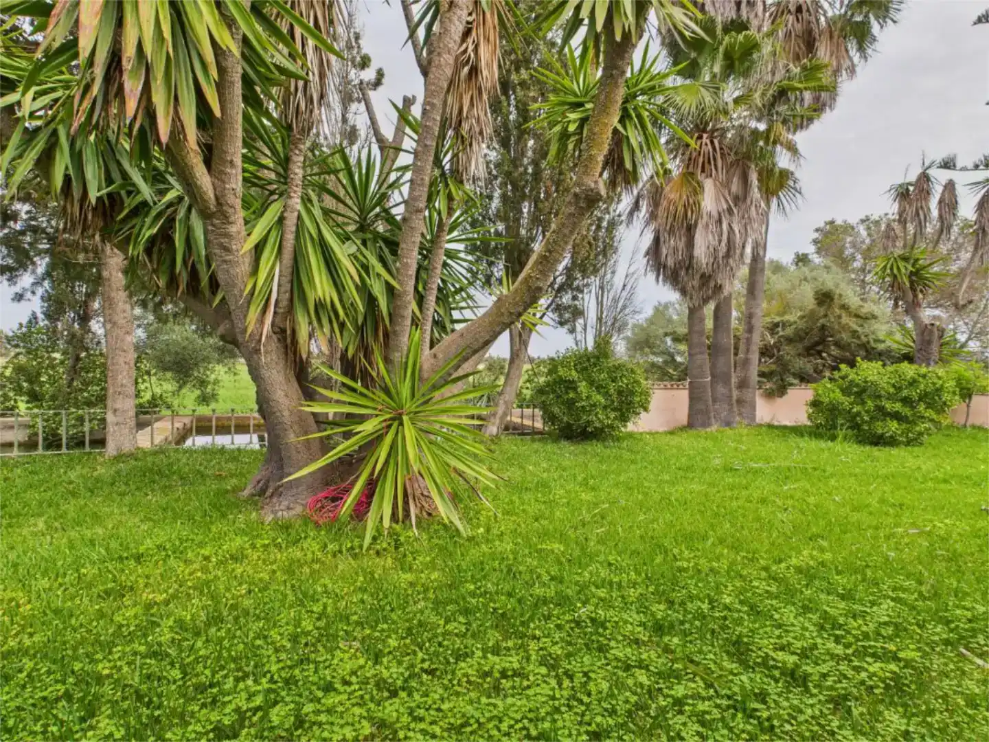 Garten von Country house zum Verkauf in Campos mit Schwimmbad