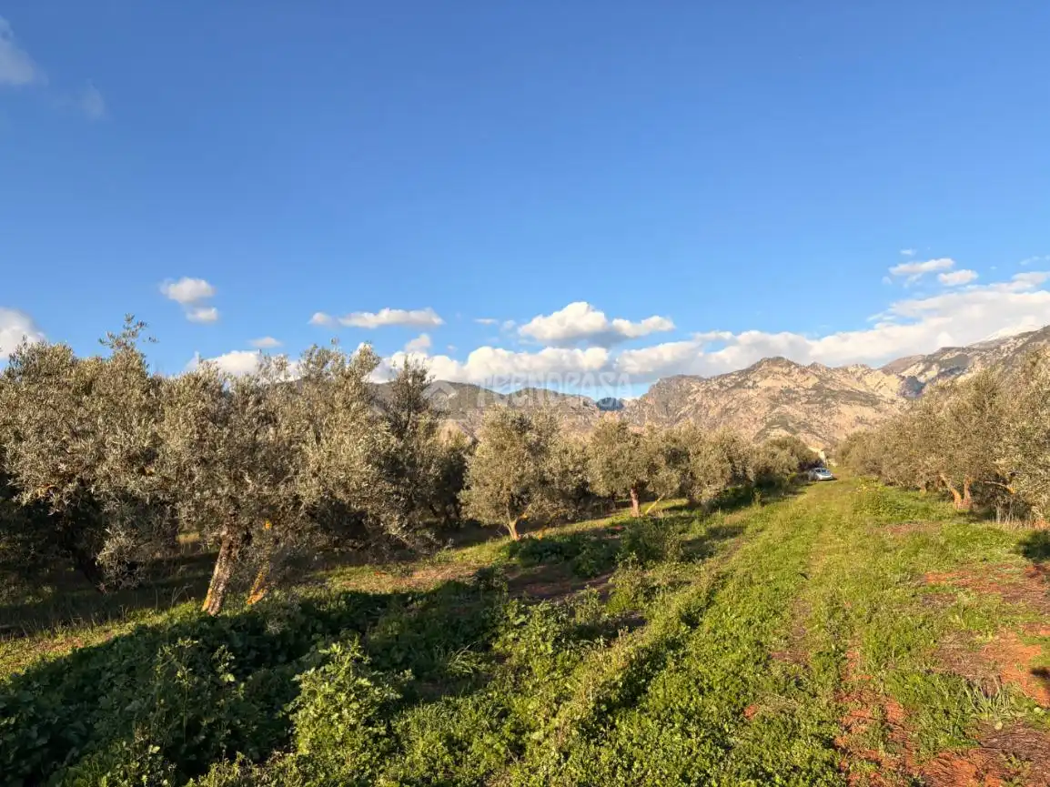 Rural land for sale in Dúrcal, imagen 10